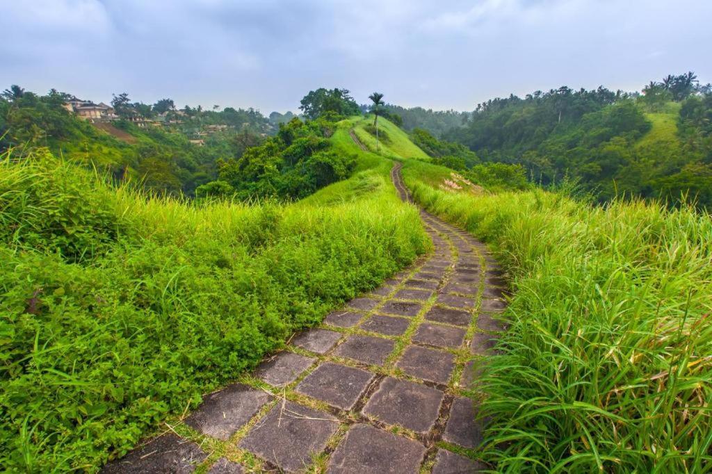 Casa Ganesha Hotel Ubud מראה חיצוני תמונה