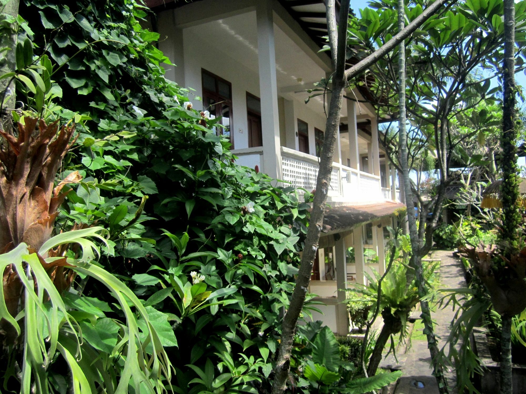 Casa Ganesha Hotel Ubud מראה חיצוני תמונה